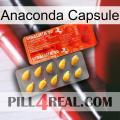 Anaconda Capsule new01